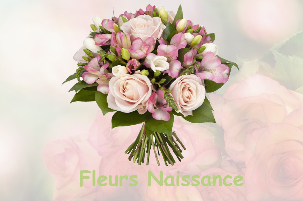 fleurs naissance SAINT-MARTIN-D-ENTRAUNES