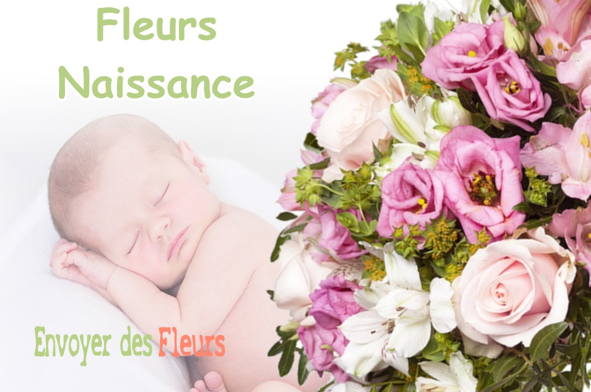 lIVRAISON FLEURS NAISSANCE à SAINT-MARTIN-D-ENTRAUNES